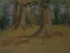 Ancient Beech Trees,Cuckney House