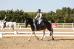 SBM_006984