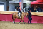 SBM_00303