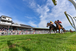 260826-Race 3-Battenburg Belle-6350