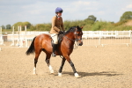 SBM_04837