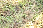 SBM_20296