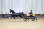 SBM_001016