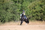 WJ6_7509