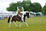 SBM_00862