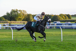 300926-Race 8-Jojo Rabbit-7198