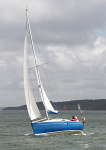 100501 BLUEBELL IMG_5979jpg