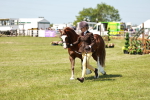 SBM_15544