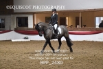 BPP_2480
