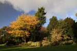 OCTOBER 2015-9