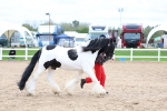 SBM_05944