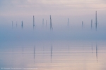 Ghost Fleet