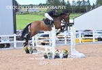BPP_5037