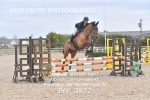 BPP_3872