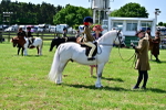 SBM_05878