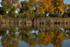 Fall colors