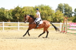 SBM_002645