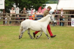 SBM_03538