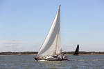 160826 BLUE ROGER Y92A6468