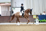 SBM_000409