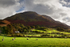 Red Pike