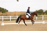 SBM_000193
