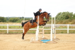 SBM_009960