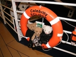 Celeb Cruisers