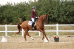 SBM_011813
