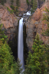 Yellowstone Waterfall