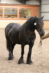 SIAL0247