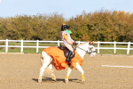 SBM_000441