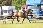 SBM_12878