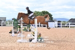BPP_6113