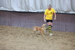 SBM_004609