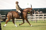 SBM_09652