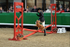 equiscot 3120