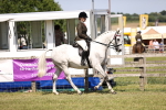 SBM_17993