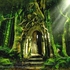 The Emerald Forest