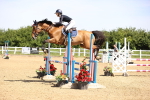 SBM_003875