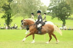 SBM_72086