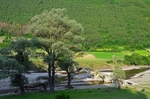 Eastern Rhodopes Mountains, Haskovo Province, Bulgaria