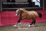BPP_2723