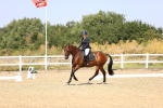 SBM_010441