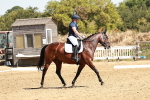 SBM_001554