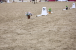 SBM_09417