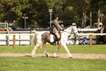 SBM_42285