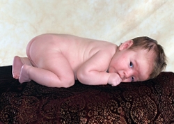 Brynlee portfolio