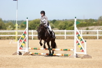 SBM_006981