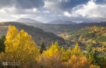Autumn, Betws y Coed, Snowdonia